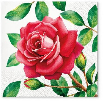 Serwetki Kwiatowe Rose PAW TL700600 - 20 sztuk, 33x33 cm, trójwarstwowe